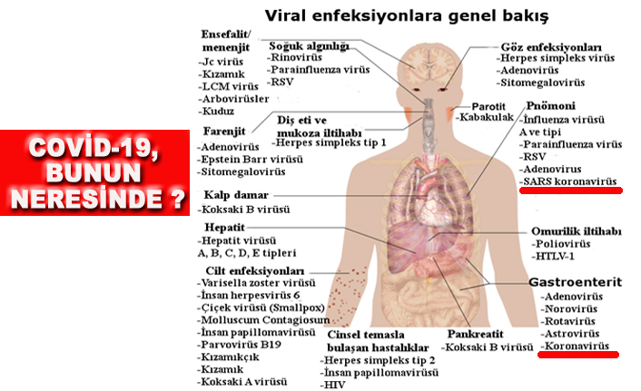 HEPSİ BU