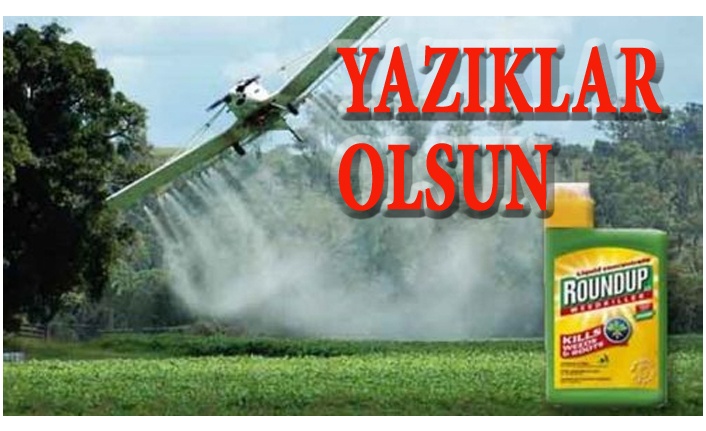 ROUNDUP SKANDALINDA YENİ PERDE