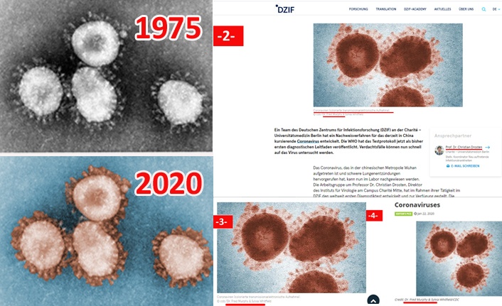 COVİD-19'DA KUŞ VAR!