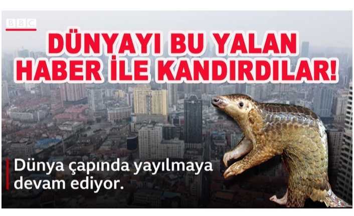 Pangolin,  Yarasanın Dışkısını Yedi!