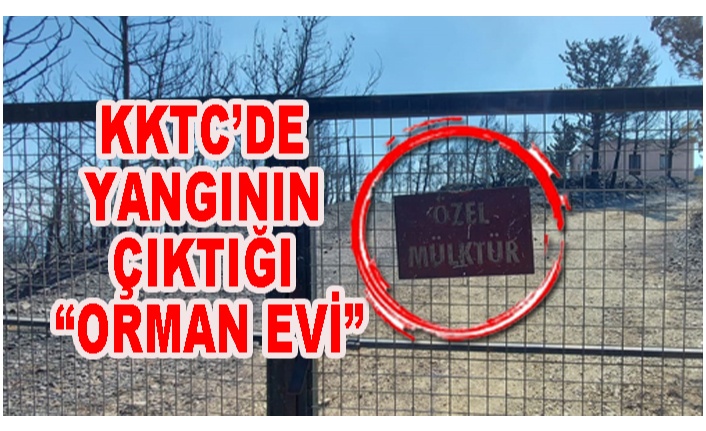 KKTC’DEKİ ORMANI KİM YAKTI?