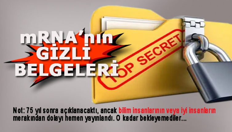 BioNTech & Pfizer GİZLİ BELGELERİ