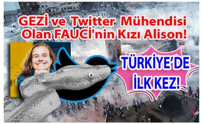 Twitter Bir Silahtır, İş Değil