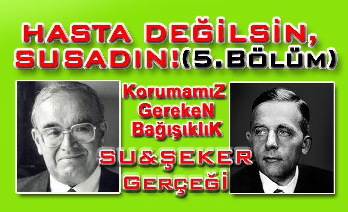 O ŞEKER, ŞEKER GİBİ DEĞİL!