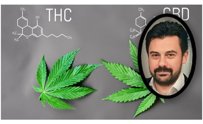 CBD ve THC