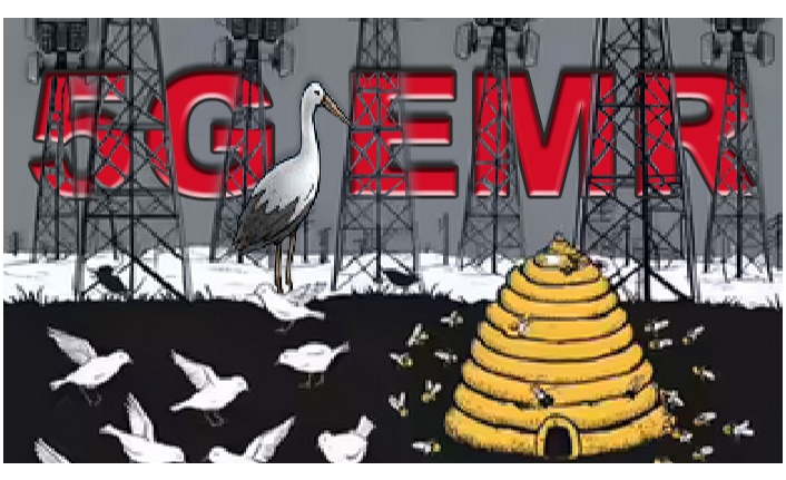 YAREN LEYLEK GELMEYECEK!