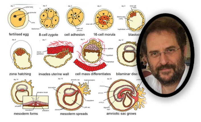 <b>“Virüsler Hakkındaki Bilgi”</b>