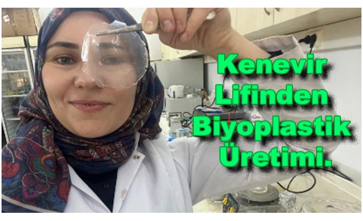 <b>“TANRI’NIN BİTKİSİ”</b>