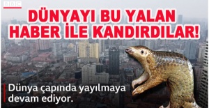 Pangolin,  Yarasanın Dışkısını Yedi!