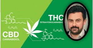 THC ve CBD