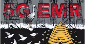 bYAREN LEYLEK GELMEYECEK!/b