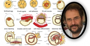 “Virüsler Hakkındaki Bilgi”