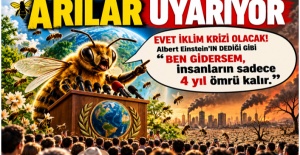 COP31 İÇİN ACİL ÇAĞRI